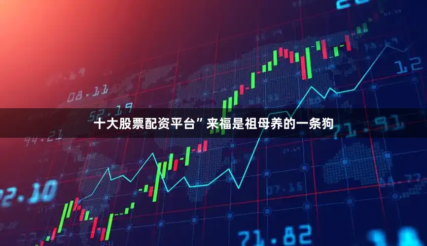 十大股票配资平台”来福是祖母养的一条狗